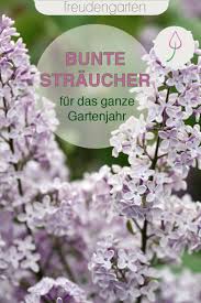 13 Bluhende Straucher Fur Das Ganze Jahr In 2020 Pflanzen Straucher Garten Garten Gestalten
