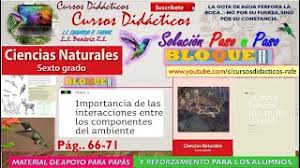 Libro de texto en formato pdf paginas 2 importancia de las interacciones entre los componentes del ambiente 66 tema 3 relación de la contaminación del aire. Ciencias Naturales Sexto Grado 2017 2018 Pagina 69 Libros De Texto Online Dubai Khalifa