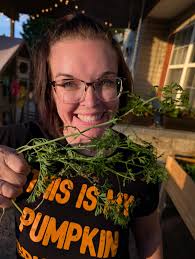 Raising swallowtail caterpillars at home