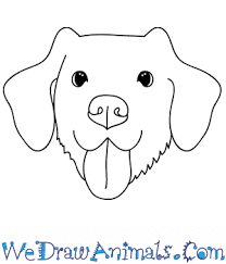 How To Draw A Dog Face For the first few steps, don't press down too hard with your pencil. how to draw a dog face