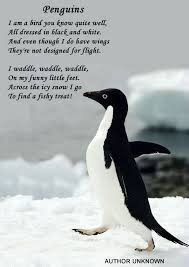 I would love to voice an animated penguin or platypus at some point. Penguin Quotes Quotesgram