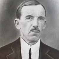 Vitale Amedeo Matteo Nardi (1871–1956)