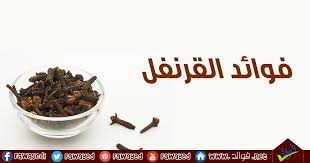 تعرف على فوائد القرنفل Food Hair Oil Meat Jerky