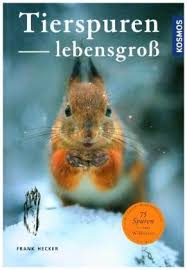 Tierspuren 2 hase katze fuchs eichhorn. Tierspuren Lebensgross Von Frank Hecker Buch Thalia