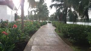 The garden was opened on 31 august 2001. Mohd Faiz Bin Abdul Manan Taman Botani Putrajaya