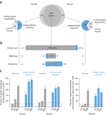 comparison of x linked gene classes between humans and mice