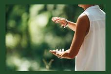 Tai Chi for Beginners
