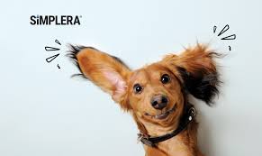 Penny Steffen receives the 2019 Stars of Alberta Volunteer Award