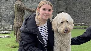From an original litter of eight, we offer these delightful female puppies. Labradoodle Creator Says It S His Life S Regret Bbc News