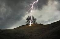 Lightning and Your Trees