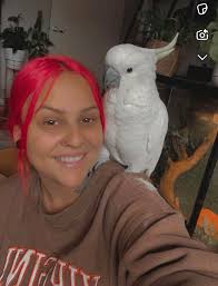 MISSING SULPHUR CRESTED COCKATOO NAMES PEPPA!! Missing from Thorogood  street she talks she's very snuggly this mama is very upset!!