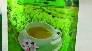 Benarkah Minum Teh Hijau Bisa Bikin Kurus Bangka Pos