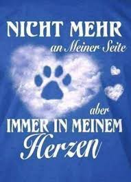 Für Immer German Language Sprüche Tierliebe