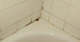 Mar 10, 2020 · pour the cleaner on the grout and let it sit. How To Replace The Grout Around The Bathtub And Sink With Silicone Sealant 101cleaningtips Net Clean Black Mold Remove Rust Stains Grout Cleaner