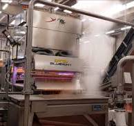 Carrot Sorting Machines | Quadra Machinery