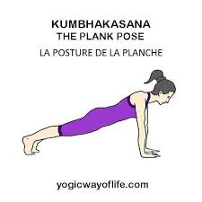 Kumbhakasana La Posture De La Planche The Planck Pose Muscle Abdominal Professeur De Yoga Posture