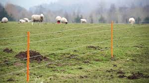 A component called a power energizer converts power into a brief high voltage pulse. Make The Most Of Grassland Productivity Using Electric Fencing Insights Farmers Guardian
