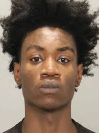 Waterloo woman arrested for punching sheriff's deputy