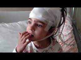 Fundraiser by Julia Vitarello : Saving Mila — Time is Running Out!