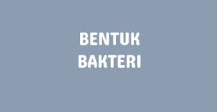 Bakteri Blog Bentuk Bacillus Anthracis