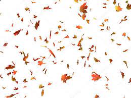 Falling Leaves Stock Photos Royalty Free Falling Leaves Images Leaf Images Fall Leaves Png Autumn Leaves