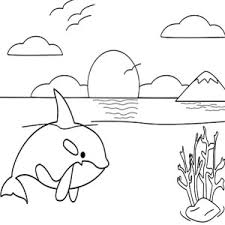 Affordable and search from millions of royalty free images photos and vectors. Killer Whale On Sunset Beach Coloring Page Kids Play Color
