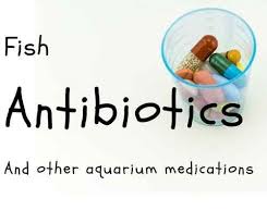 Fish Antibiotics And Other Aquarium Medications Fish Antibiotics Betta Fish Care Antibiotic