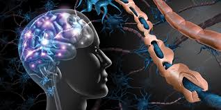 What are usually the first signs and symptoms of ms? Multiple Sclerosis And The Gut Gastrointestinal Society