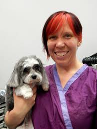 Get free quotes in minutes from reviewed, rated & trusted pet grooming near me on airtasker. Our Team Awesome Paws Pet Salon