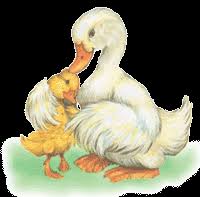 Gambar kartun sedih anime korea gambar kartun sedih anime korea banyak hal yang dapat men. Bebek Itik Gif Gambar Animasi Animasi Bergerak 100 Gratis