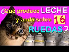 Retos divertidos juegos mentales para niños. Acertijos Y Juegos Mentales Riddles