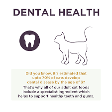 Vohc dental products for cats. Adult Cat Chicken With Duck Burgess Pet Care