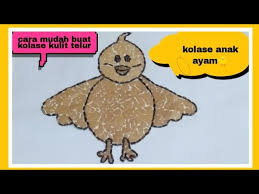 Mewarnai gambar ayam dan bebek wallpaper keren. Tutorial Membuat Kolase Anak Ayam Dari Kulit Telur Youtube