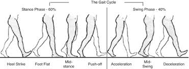 Image result for Pediatric Limp