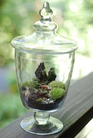 A Miniature Terrarium Jar With Teeny Little Animals In The Landscape Just Mist It Every Once In Awhile I Want This Garden Terrarium Terrarium Mini Garden
