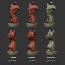Female Torso Statue 3d Model Female Torso Statue Human Anatomy Art