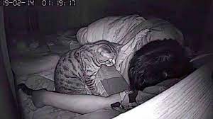 J'ai regardé par la fenetre et j'ai vu mon ami. Chaque Nuit Il Reve Qu Il Etouffe Puis Se Filme En Train De Dormir Et Comprend L Origine De Ce Cauchemar Photos Soirmag