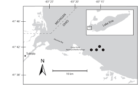 We did not find results for: Frontiers Metatranscriptomic Analyses Of Diel Metabolic Functions During A Microcystis Bloom In Western Lake Erie United States Microbiology