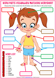 Free interactive exercises to practice online or download as pdf to print. Body Parts Esl Matching Exercise Worksheet For Kids