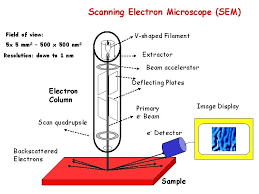 Ir beam detectors are commonly used to detect entry through a perimeter and may be used to surround a property or asset. Scanning Electron Microscopy Sem Short Description Beam Parameters