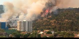 En el marco del incendio forestal registrado en la comuna de quilpué, la fiscalía inició una investigación para determinar las causas de este hecho, el que según la corporación nacional. Alcalde De Quilpue Asegura Que No Hay Riesgo En Zoologico Tras Incendio Meganoticias