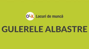 Vezi peste 3500 de joburi actuale. Olx Group