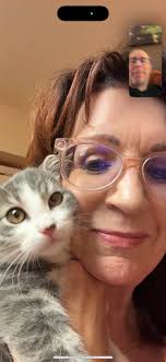 Hello world! I'm still a little scared and nervous, but some nice lady just  picked me up and brought me to this new place. Yes, I was one of those  shelter cats