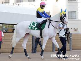 Jc女子中学生, js女子小学生, オッパイ, スク水 aliceclub. B5fcxuntgymonm