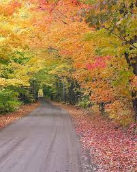 Tunnel Of Trees Keweenaw Peninsula Michigan Mary Ann Melton Mackinaw City Michigan Fun Michigan