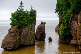 Hopewell Rocks Best Time To Visit Top Tips Before You Go
