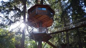 Good looking glass pillar entry modern with sleek. Tree House Design Engineering Pse Consulting Engineers Inc