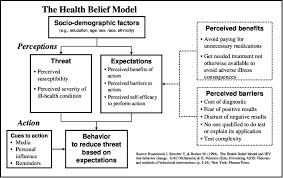 Adapted Health Belief Model Download Scientific Diagram
