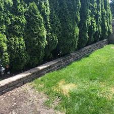 + causes of retaining wall problems. Retaining Wall Ryobi Nation Projects