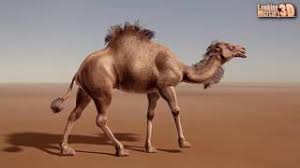 It allows end users to integrate various systems in our example, we saw that camel lets you focus on business logic and reduces the amount of boilerplate code. Camel 3d Animation Youtube